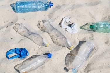 Paparan Mikroplastik Dapat Berdampak Buruk pada Fungsi Otak