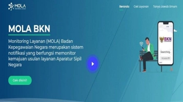 Arti Notifikasi Usulan Tidak Ditemukan saat Cek Progres Penetapan NIP PPPK di MOLA BKN