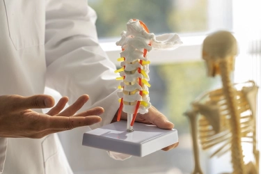 Deteksi Dini Osteoporosis dengan Pemeriksaan Kepadatan Tulang