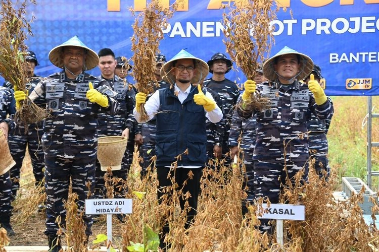 Selain Banten, TNI AL Bakal Ujicoba Panen Kedelai di Lampung dan Bogor