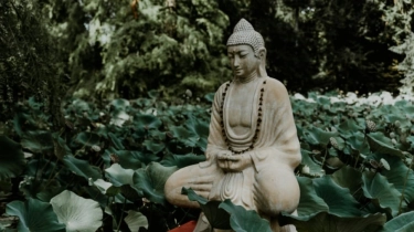 30 Kata-Kata Bijak Buddha tentang Kedamaian: Menemukan Tenang di Tengah Riuh Hidup