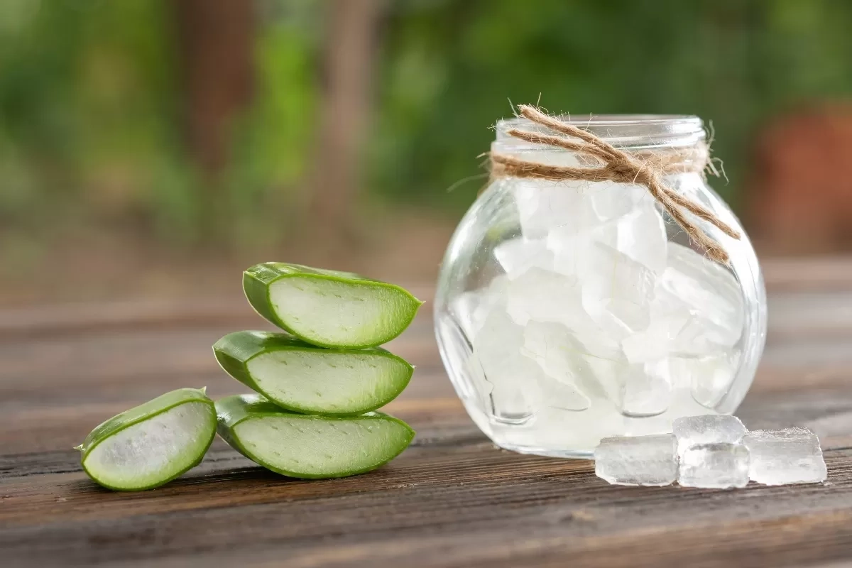 7 Cara Efektif Memanfaatkan Lidah Buaya untuk Mengatasi Jerawat