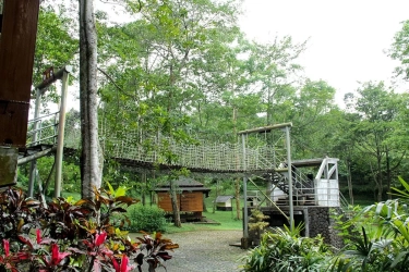 4 Rekomendasi Tempat Outbound di Trawas Mojokerto, Cocok untuk Acara Sekolah hingga Gathering Kantor!