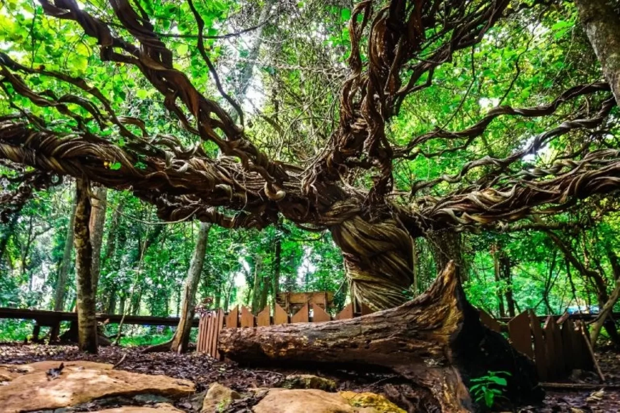 6 Tempat Wisata Murah Meriah di Lamongan yang Cocok Buat Healing Tipis-Tipis!