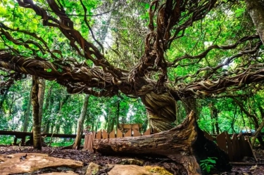 6 Tempat Wisata Murah Meriah di Lamongan yang Cocok Buat Healing Tipis-Tipis!