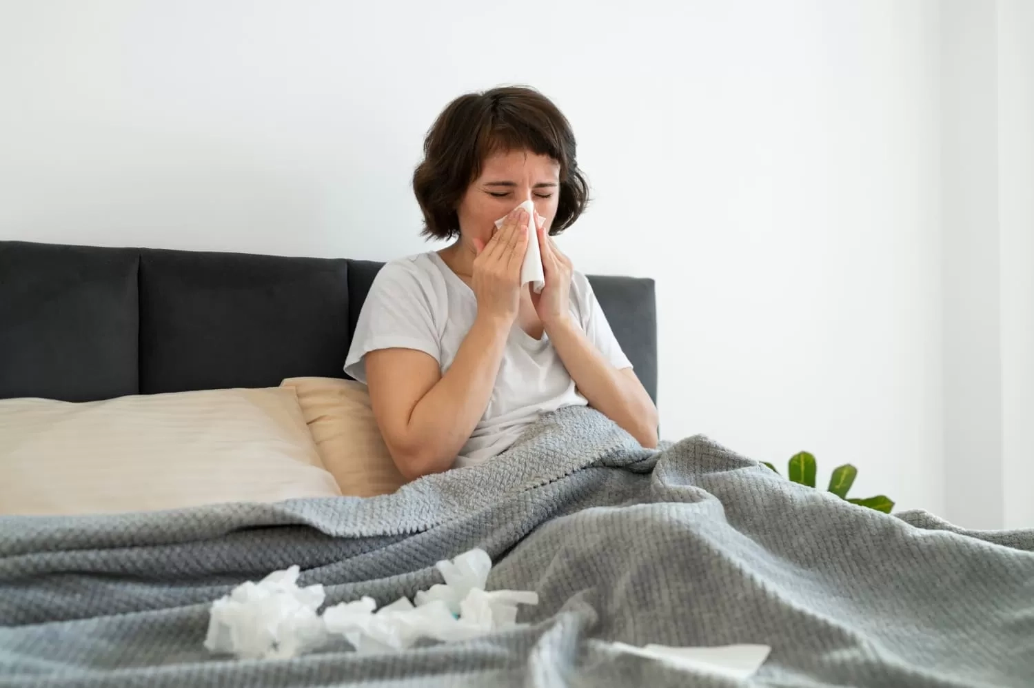 5 Makanan Peningkat Kekebalan Tubuh, Cocok Dikonsumsi saat Pilek, Flu, dan Demam