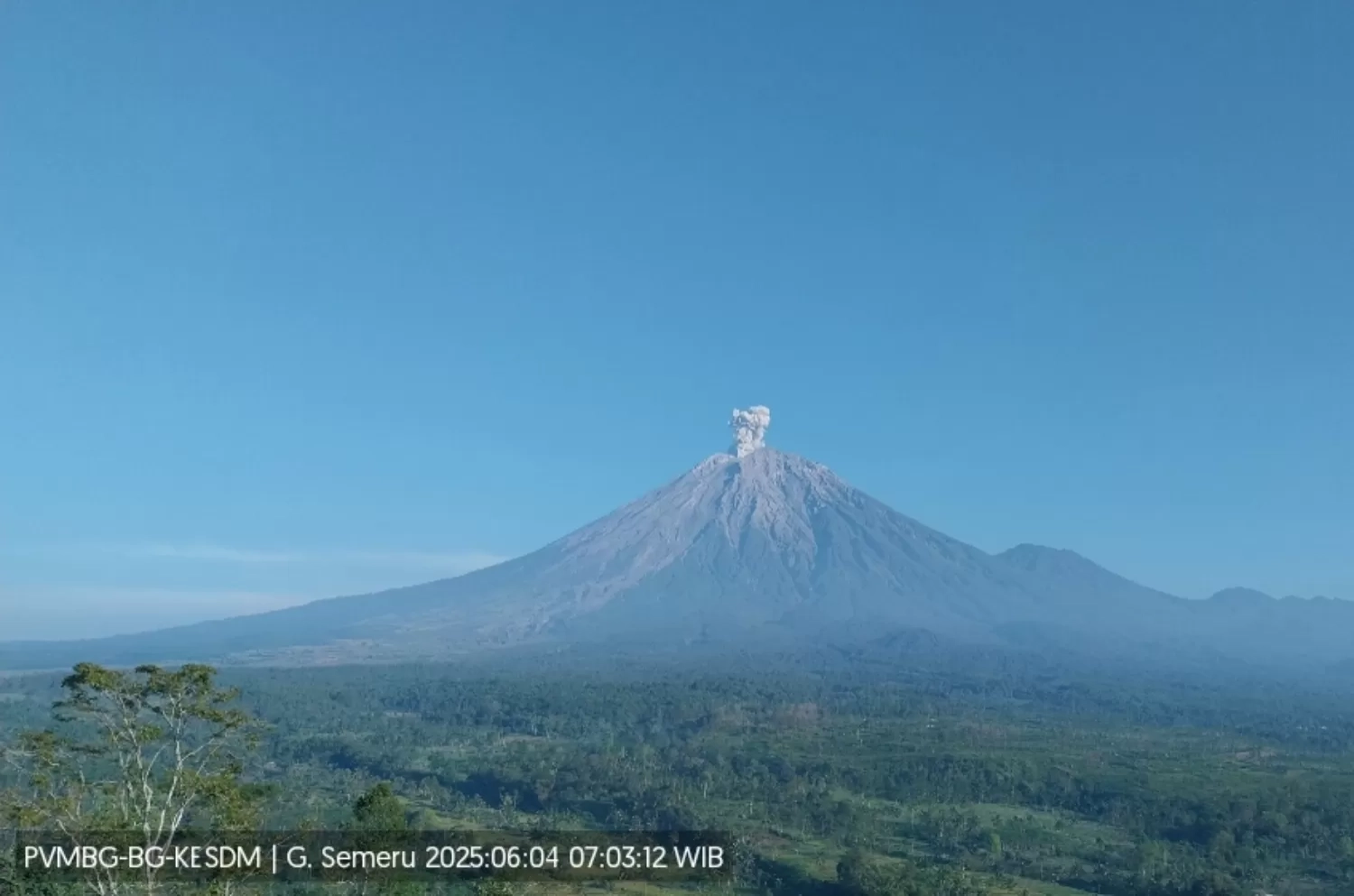 Gunung Semeru Kembali Erupsi, Pos Pengamatan Laporkan Kolom Letusan Capai Ketinggian 800 Meter dari Puncak