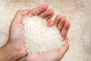 Mentan Sebut Keuntungan Tengkulak Beras Bisa Rp 313 Triliun Setahun