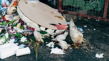 Mulai dari Kulkas: Ini 5 Tips Praktis Cegah Sampah Makanan di Rumah