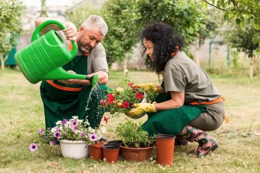 7 Tips Berkebun Cerdas agar Terhindar dari Nyeri Sendi dan Cedera saat Musim Tanam Tiba