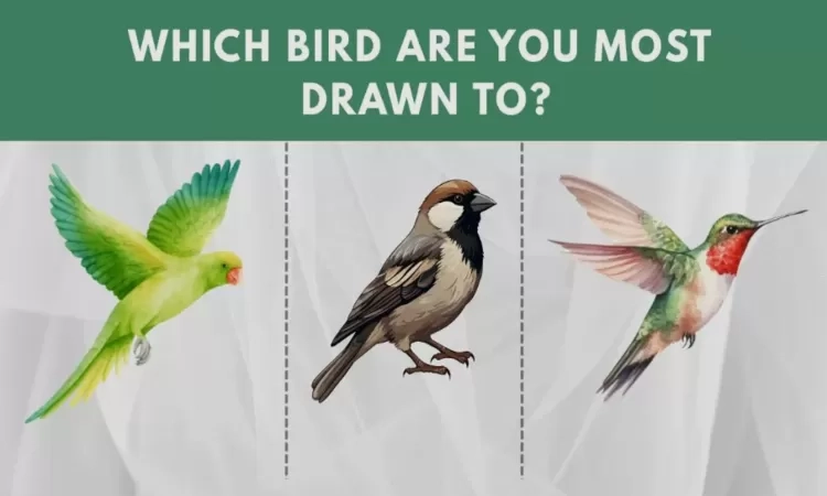Mengenal Diri Melalui Gambar Burung: Parrot, Pipit, dan Kingfisher, yang Manakah Pilihanmu?
