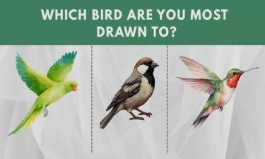 Mengenal Diri Melalui Gambar Burung: Parrot, Pipit, dan Kingfisher, yang Manakah Pilihanmu?