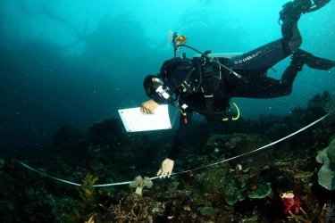 7 Spot Snorkeling Terbaik di Raja Ampat dan Mengapa Kita Harus Menjaganya