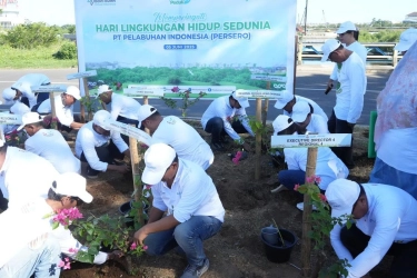 Dukung Pembangunan Berkelanjutan, Pelindo Tanam 40.000 Pohon