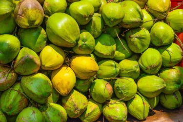 Setop Impor, Indonesia Siap Ekspor Jagung ke Malaysia dan Andalkan Kelapa ke Pasar Dunia