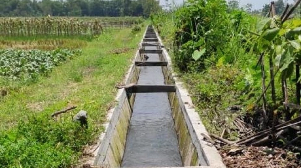 Infrastruktur Irigasi Selalu jadi Persoalan Pertanian RI