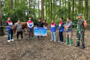 Idul Adha 1446 H, Pertamina NRE Berbagi Lebih dari 100 Ekor Hewan Kurban untuk Masyarakat Sekitar Wilayah Operasi