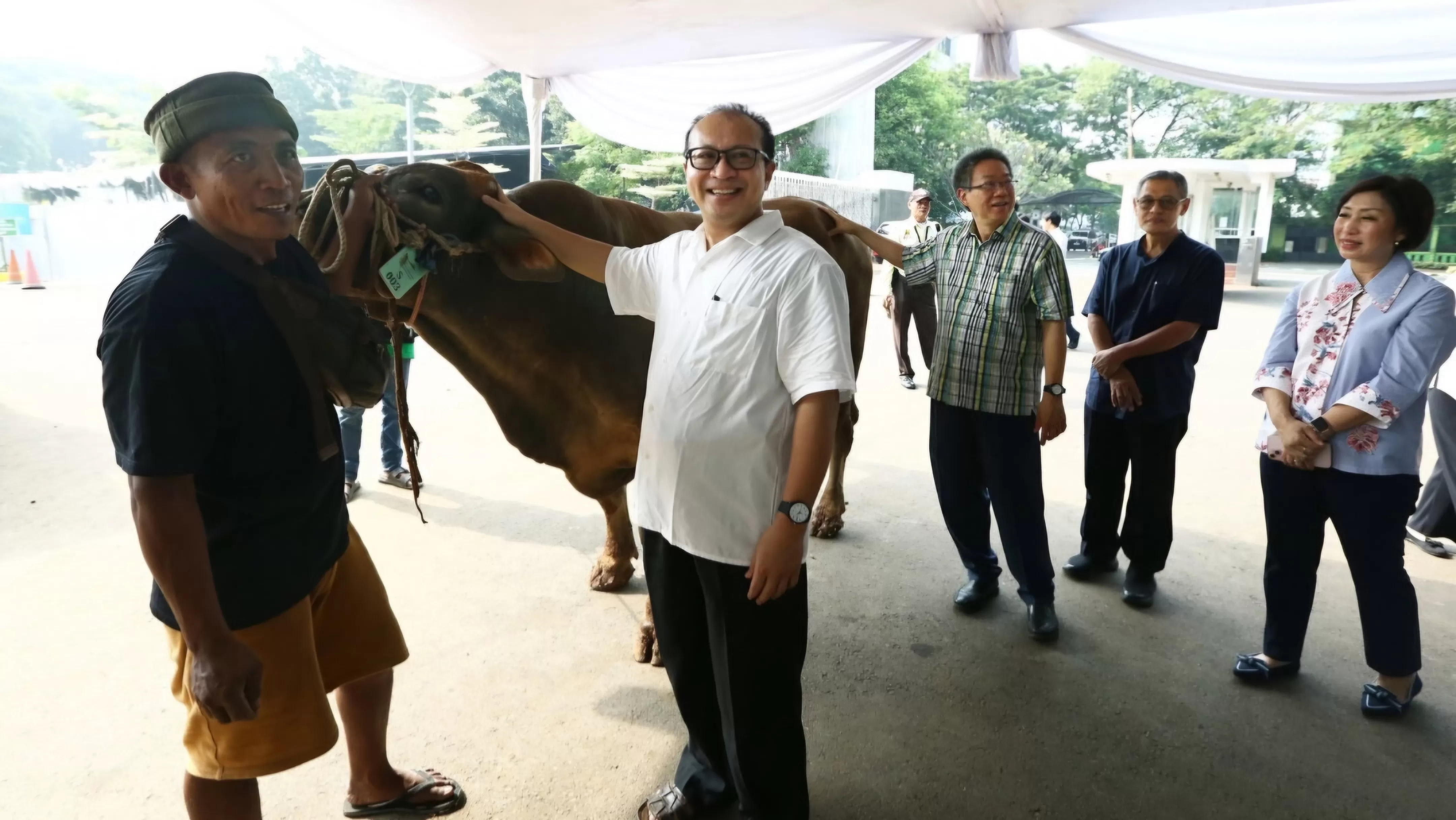 Indahnya Toleransi: Katedral Jakarta Beri Sapi Kurban ke Masjid Istiqlal