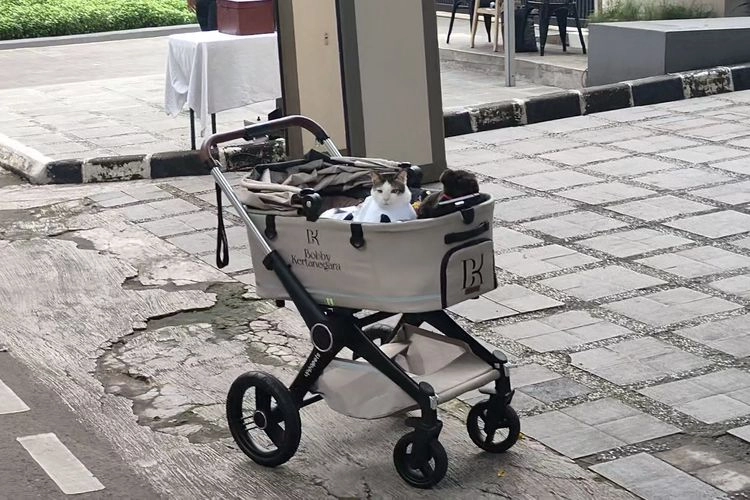 Begini Gaya Bobby Kertanegara Saat Temani Wartawan di Depan Rumah Prabowo