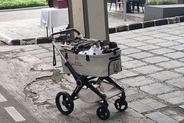 Begini Gaya Bobby Kertanegara Saat Temani Wartawan di Depan Rumah Prabowo