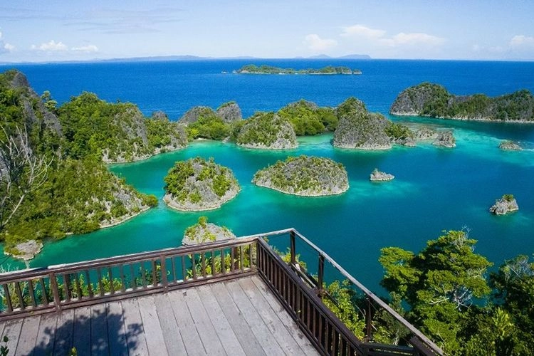 Papua Bukan Tanah Kosong: ''Save'' Raja Ampat!