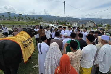 Serahkan Hewan Kurban Prabowo ke Kota Palu, Menteri Karding: Tanda Cinta Presiden kepada Masyarakat