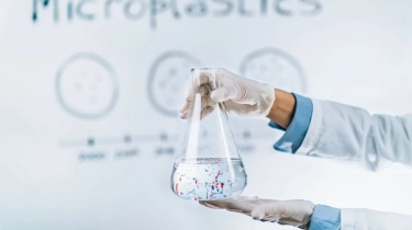Studi MIT: Biofilm Ternyata Bisa Jadi Benteng dari Ancaman Mikroplastik