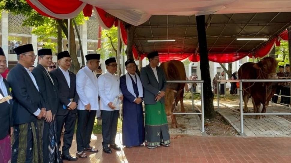 Terungkap! Brawijaya dan Jack, Nama Sapi Kurban Prabowo-Gibran di Istiqlal Siap Disembelih Besok