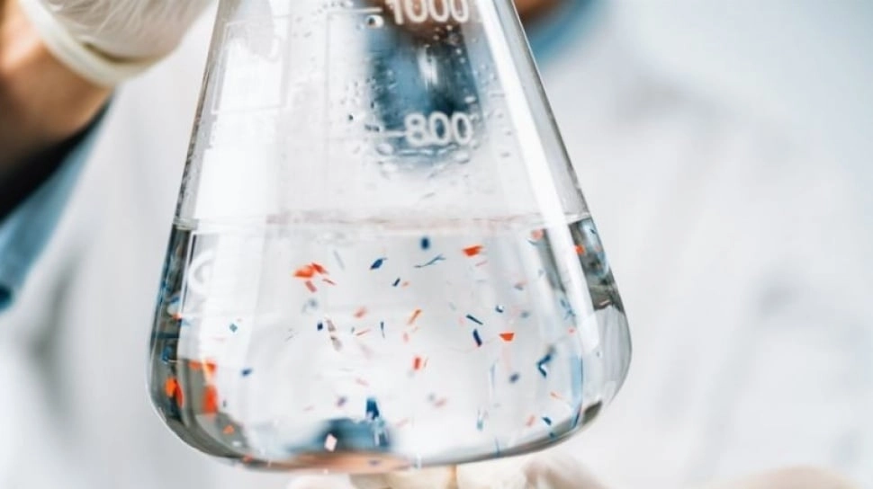 Penemuan Mengejutkan: Lendir Bakteri Bisa Jadi Kunci Bersihkan Mikroplastik dari Laut!