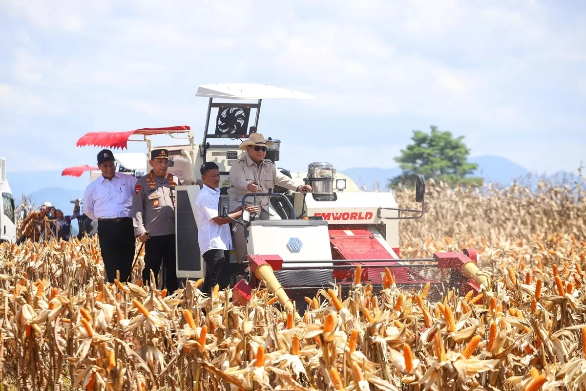 Libatkan Kepolisian Produksi Jagung Nasional Meroket 50 Persen, Indonesia Siap jadi Ekportir Global