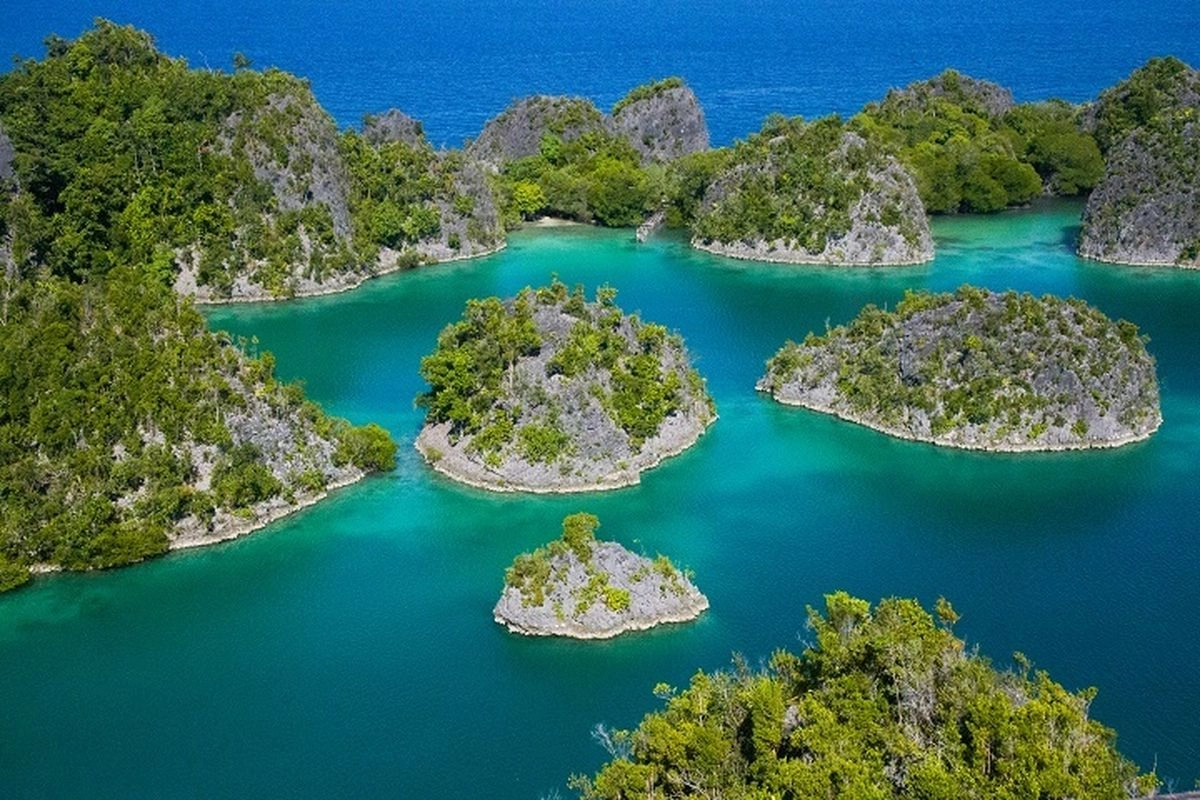 ESDM Blak-blakan Izinkan Tambang Nikel di Pulau-pulau Kecil Raja Ampat