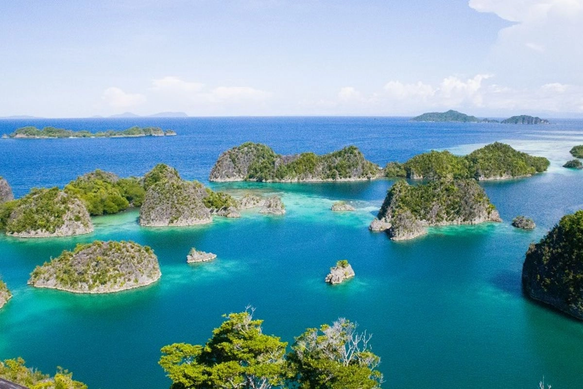 Ini Perusahaan Pemilik Lahan Tambang Paling Luas di Raja Ampat