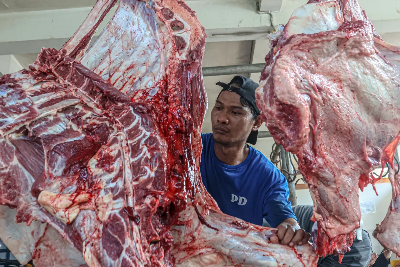 Mitos atau Fakta Jeruk Nipis dan Air Panas Kurangi Kadar Kolesterol dalam Daging? Simak Penjelasan Ahli Gizi