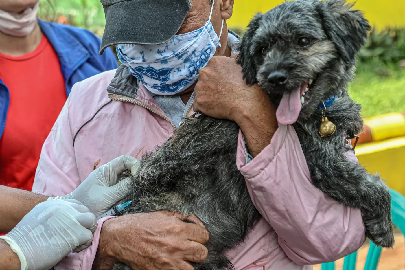 Viral Video Penyiksaan Anjing, Kapolres Sragen Buka Suara, Pengunggah Sampaikan Permohonan Maaf