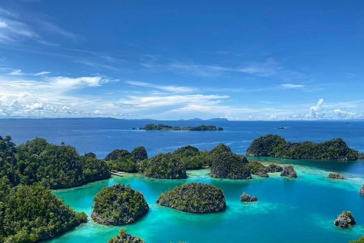 Tambang di Raja Ampat, Pemerintah Tak Perlu Ragu Tindak Pelaku yang Melanggar