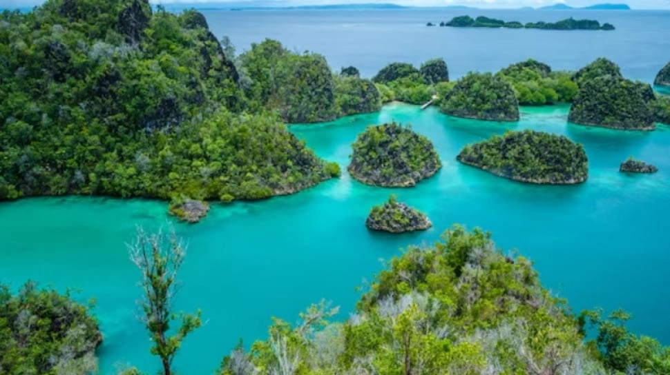 Liburan ke Raja Ampat Sebelum Berubah Wajah Jadi Area Tambang, Segini Perkiraan Biayanya