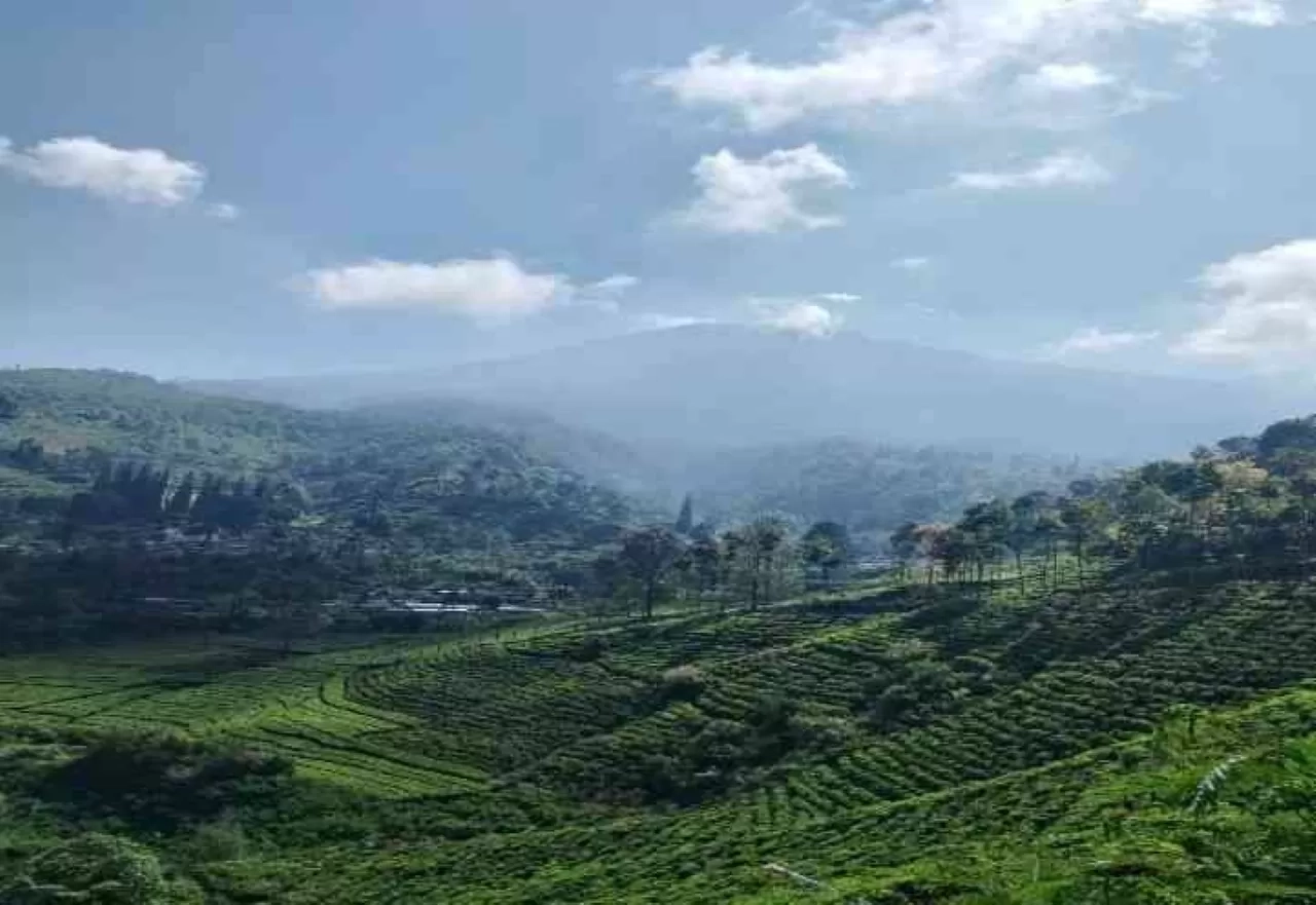 5 Destinasi Wisata Romantis di Blitar yang Pas Banget untuk Pasangan Muda