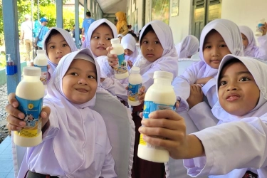 BGN: Minum Susu untuk Intoleran Laktosa Bisa Dibiasakan