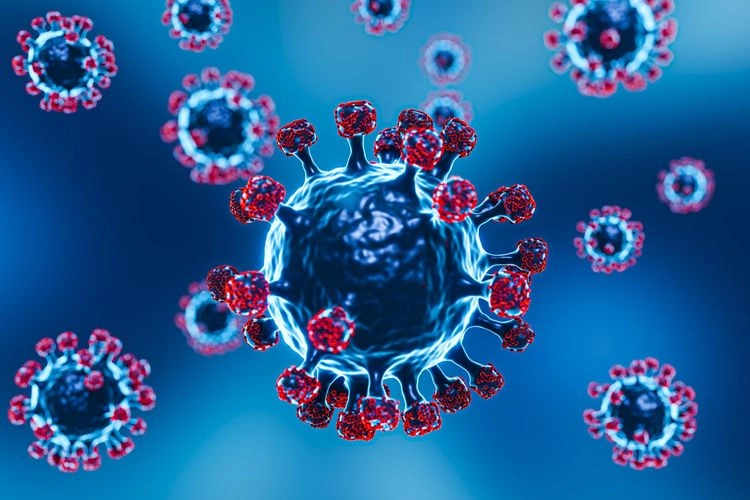 Virus HKU5 dari China Bisa Jadi Pandemi Baru, Ini Faktanya...