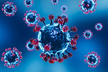 Virus HKU5 dari China Bisa Jadi Pandemi Baru, Ini Faktanya...