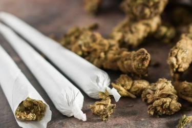 Penelitian Temukan Risiko Serangan Jantung dari Penggunaan Ganja Kronis