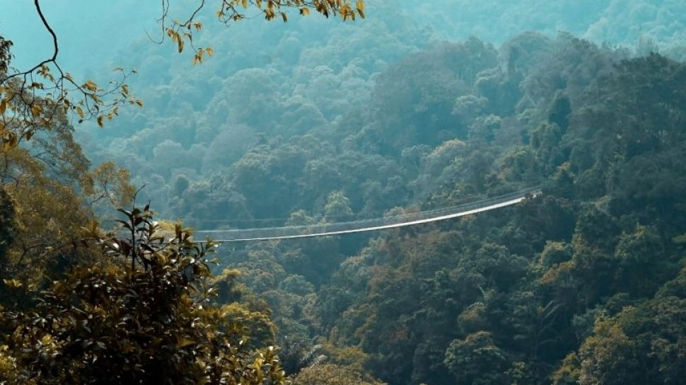 Kemenhut Ajak Pemuka Agama Rehabilitasi Hutan, Mitigasi Bencana Lewat Jalan Spiritualitas