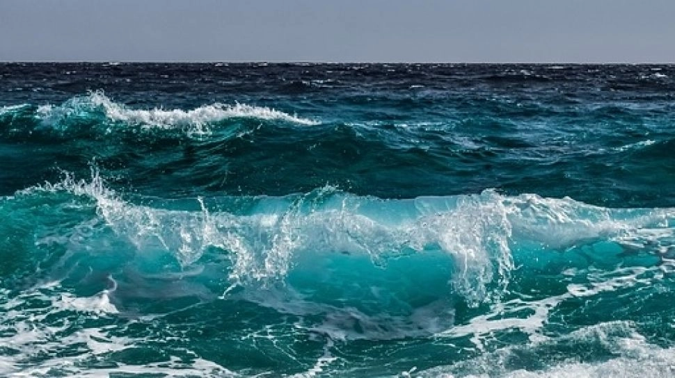 Peneliti Peringatkan Pengasaman Laut Lebih Cepat dari Perkiraan, Mengapa Kita Harus Khawatir?
