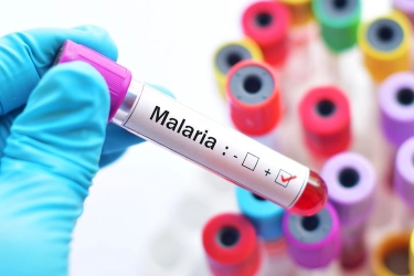 Kemenkes Prioritaskan Eliminasi Malaria di Papua yang Masih Tinggi Kasusnya