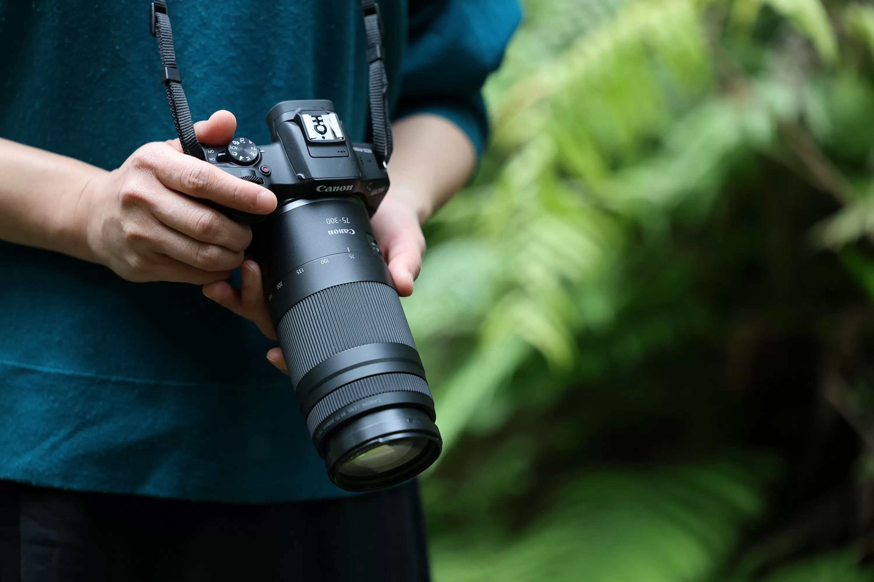 Canon Luncurkan Lensa RF75-300mm f/4-5.6, Perangkat Telefoto Ringan dan Murah untuk Fotografer Pemula