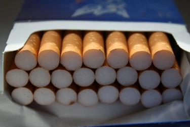 Panen Tembakau Tak Terserap Perusahaan Rokok, Penjualan Turun Drastis?