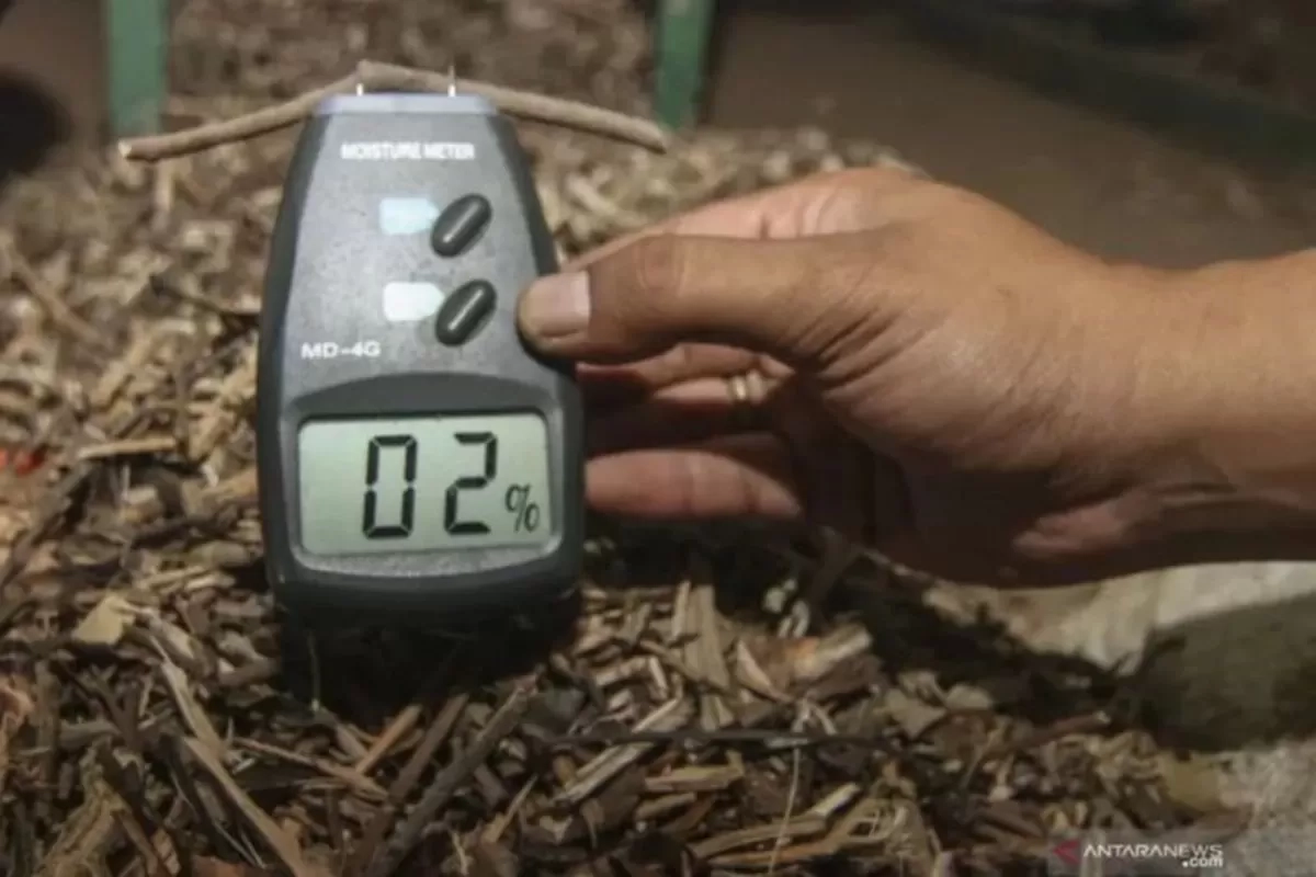 Pemerintah Berhasil Jual Rp 1,04 Triliun Produk Biomassa dalam Misi Dagang ke Jepang, 640 Ribu Ton Palm Kernel Shell dan Wood Pellet
