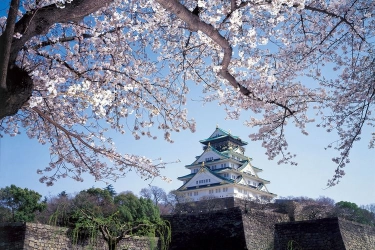 3 Alasan Osaka Castle Jadi Destinasi Wisata Popular di Jepang