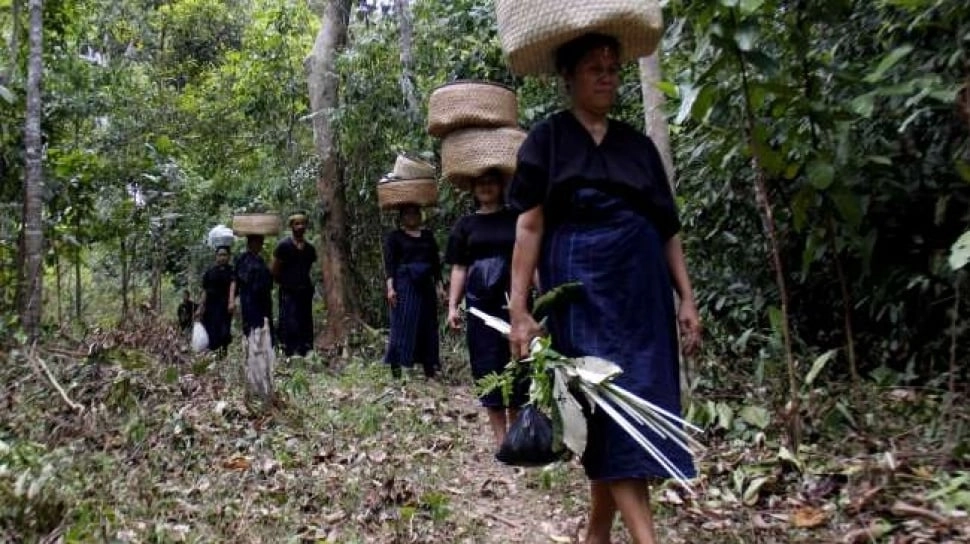 Di Sulawesi Selatan, Suku Kajang Buktikan Hutan Bisa Selamat dengan Patuhi Hukum Adat