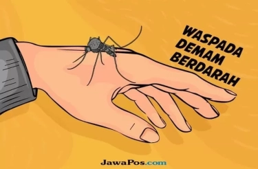 Serangan DBD Kedua Bisa Lebih Berbahaya, Dokter Ungkap Penyebabnya